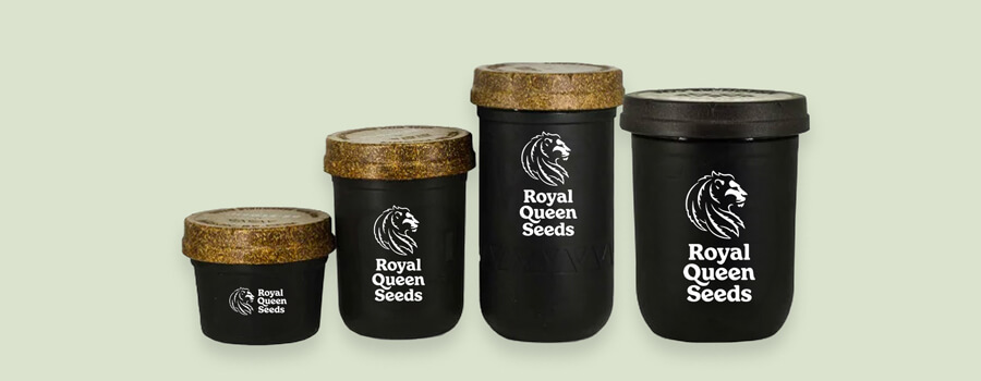 Moderne Royal Queen Seeds-containers in verschillende maten. Illustreert hoe cannabisverpakking is geëvolueerd om de productkwaliteit beter te behouden.