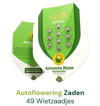 autoflowering-cannabis-zaden