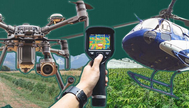  Een drone die luchtbeelden vastlegt van een buitenteelt van cannabis, die de uitdagingen en technieken van luchtbewaking illustreert die worden gebruikt om illegale cannabisverbouwingen in landelijke en verborgen locaties te detecteren.