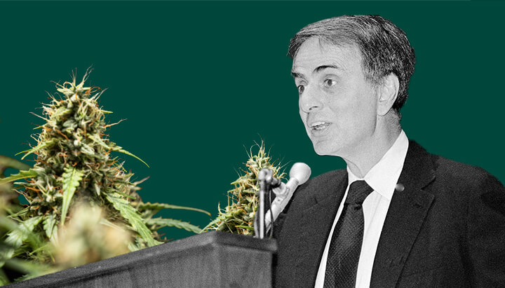 Een gedetailleerd portret van Carl Sagan die in een microfoon spreekt, tegen een groene achtergrond met levendige, weelderige cannabisplanten.