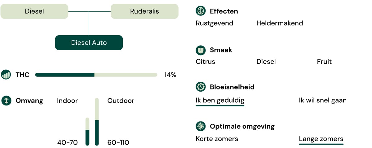 Diesel Auto Key Characteristics