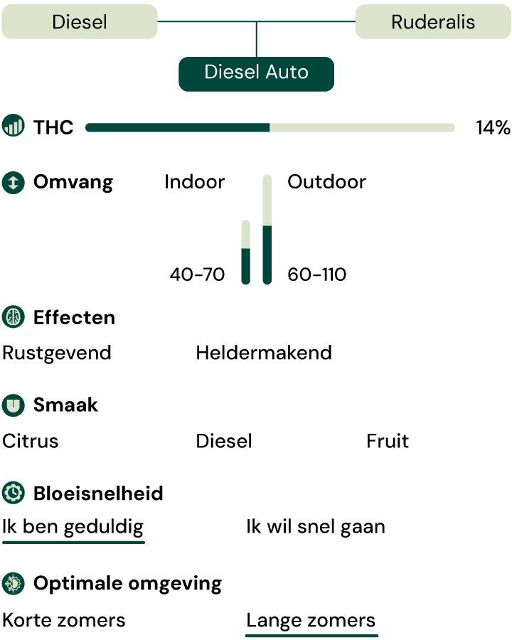 Diesel Auto Key Characteristics