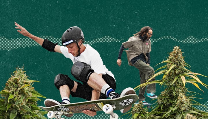 Kruising tussen cannabiscultuur en skateboarden.