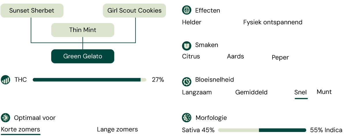 Green Gelato Characteristics