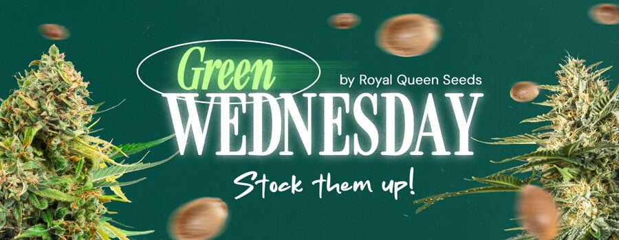 Green Wednesday 2024 promotiebanner van Royal Queen Seeds met cannabis toppen, met de zin 'Sla ze in!'