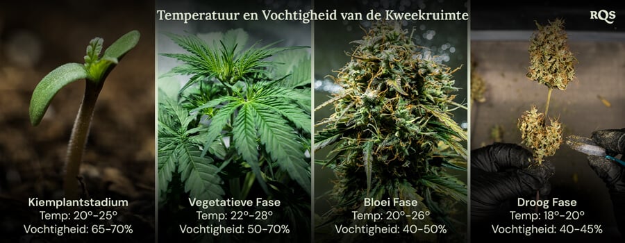 Vier afbeeldingen die de ideale kweekomstandigheden voor planten in elke levensfase tonen, van kieming tot oogst, voor een gezonde groei en maximale opbrengst.