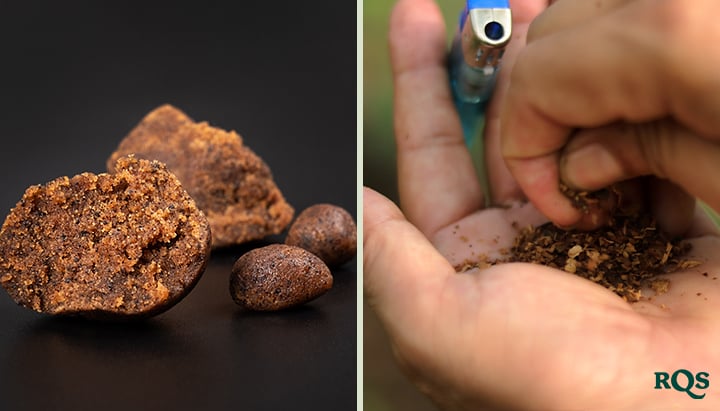 Illustratie van intensieve biologische tuinbouw, met maximale productiviteit, gezondere planten, potente toppen, combinatieteelt, diepe grondbewerking en verbeterde bodemkwaliteit.