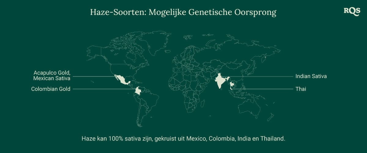 Wereldkaart die de mogelijke oorsprong van Haze-cannabissoorten toont, met lijnen die Mexico, Colombia, India en Thailand verbinden met een centraal punt genaamd 