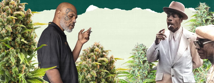 "Een foto van Mike Tyson en een andere persoon die in een weelderig cannabisveld staan, omringd door hoge groene planten, wat de verbinding met cannabisteelt benadrukt. "