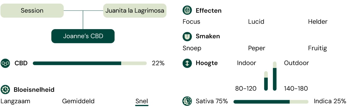 Joanne's  CBD Characteristics