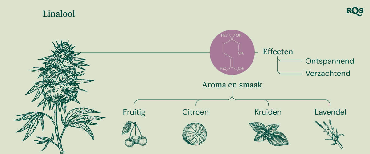 Linalool Characteristics