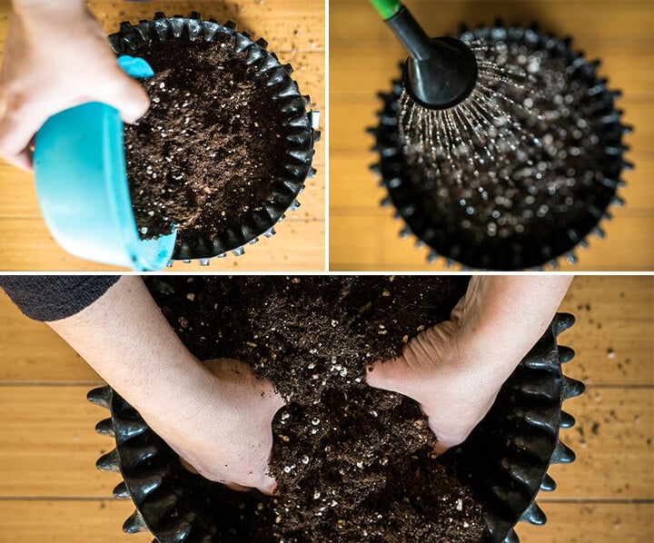 Close-up van een persoon die een groene plant in een keramieken pot plant, aarde toevoegt, deze zacht aandrukt en water geeft.