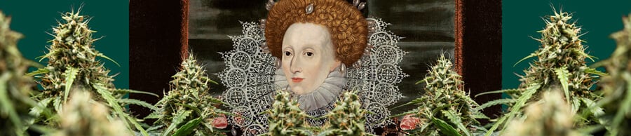 Een kleurrijk portret van Koningin Elizabeth I, gecentreerd en ingelijst door cannabisplanten met dichte toppen, tegen een donkergroene achtergrond.