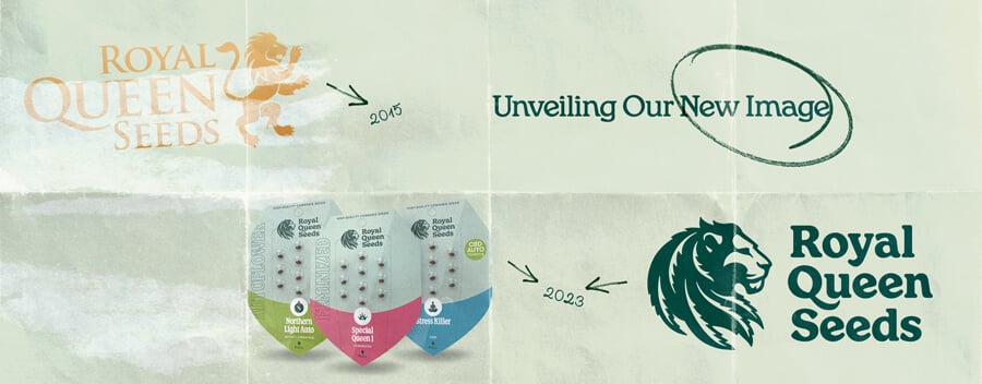 "De evolutie van het Royal Queen Seeds-logo van 2015 tot 2024, met het oorspronkelijke gouden logo met een leeuw en het bijgewerkte groene logo met een modern leeuwendesign. De afbeelding toont ook de nieuwe zaadverpakking van het bedrijf.  "