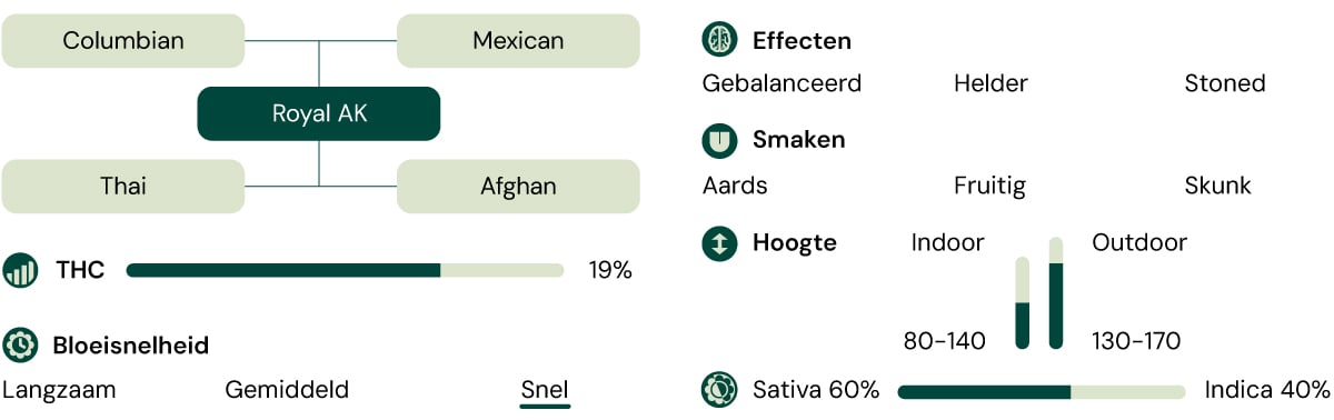 Royal AK Characteristics