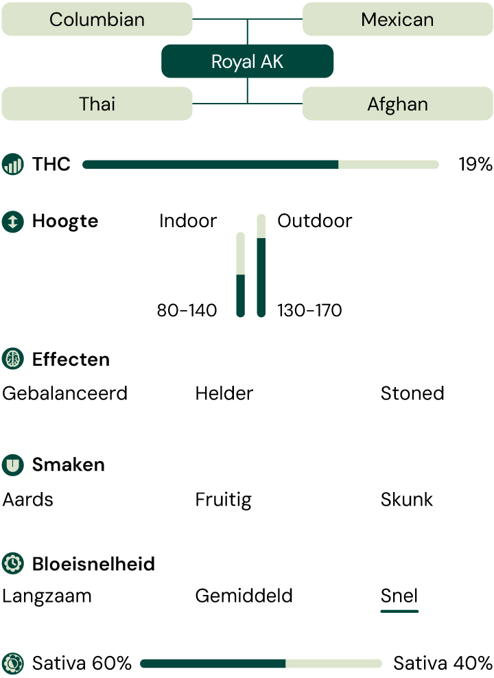 Royal AK Characteristics