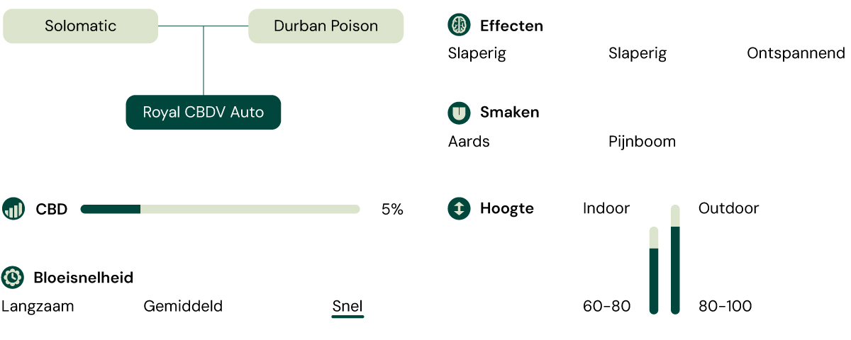 Een visuele weergave van de cannabisvariëteit Royal CBDV Auto, waarbij de belangrijkste kenmerken worden benadrukt: CBD-gehalte, effecten, smaken, hoogte, bloeitijd en geschiktheid voor binnen- en buitenteelt.