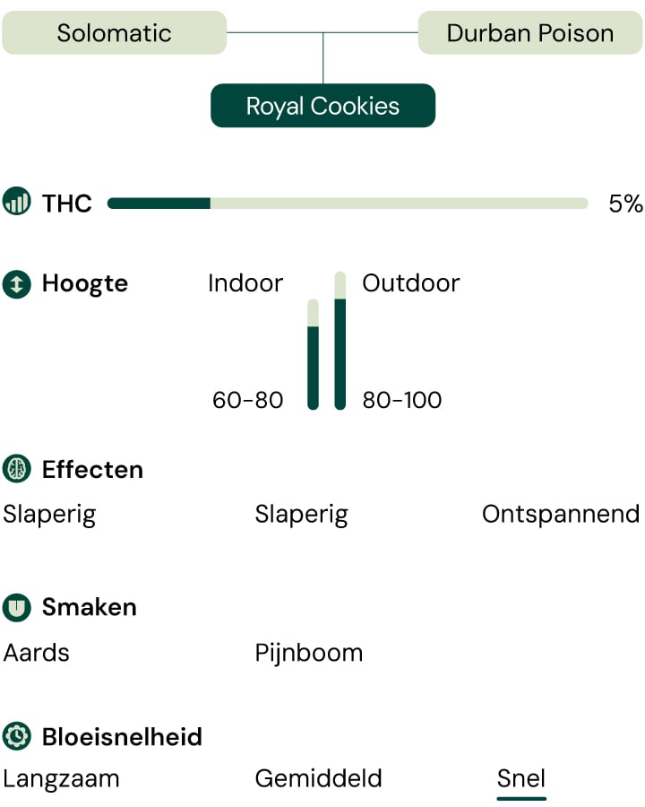 Een visuele weergave van de cannabisvariëteit Royal CBDV Auto, waarbij de belangrijkste kenmerken worden benadrukt: CBD-gehalte, effecten, smaken, hoogte, bloeitijd en geschiktheid voor binnen- en buitenteelt.