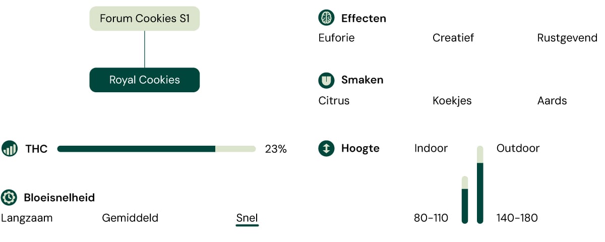 Royal Cookies Strain Characteristics