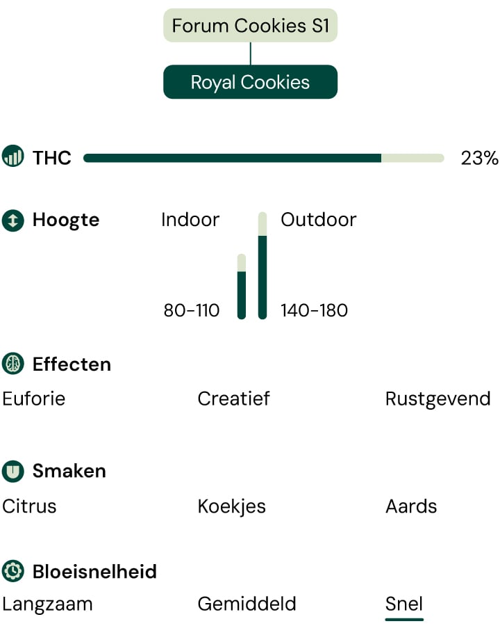 Royal Cookies Strain Characteristics