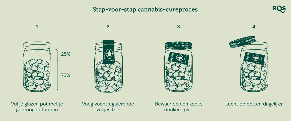 Vier stappen voor het correct uitharden van cannabis. 1: Vul de pot met gedroogde toppen (75%). 2: Voeg vochtregulerende zakjes toe. 3: Bewaar de pot op een koele, donkere plek. 4: Open de pot dagelijks voor ventilatie.