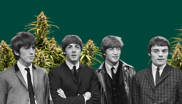 Zwart-wit foto van The Beatles, met alle vier de leden, cannabisplanten op de achtergrond en een donkergroene achtergrond, die het iconische tafereel benadrukt.