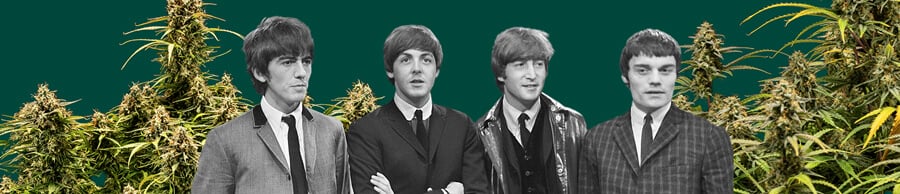 Zwart-wit foto van The Beatles, met alle vier de leden, cannabisplanten op de achtergrond en een donkergroene achtergrond, die het iconische tafereel benadrukt.