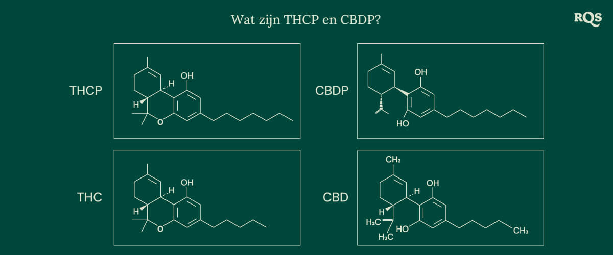 Chemische structuren van vier cannabinoïden: THCP, CBDP, THC en CBD, inclusief de recent ontdekte THCP en CBDP.