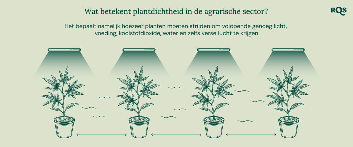 What is plant density 