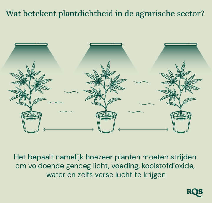 What is plant density 