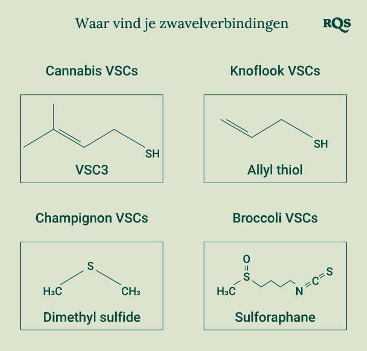 Diagram dat de chemische structuren van zwavelverbindingen toont die in cannabis, knoflook, champignons en broccoli worden aangetroffen, voor een beter begrip van hun unieke eigenschappen.