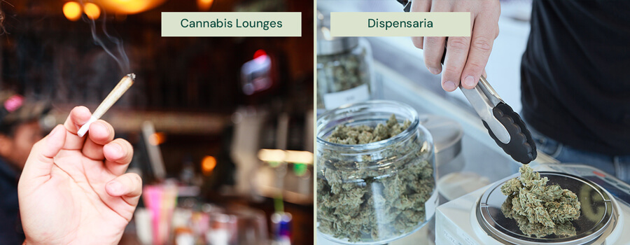 Een gesplitste afbeelding toont een hand die een aangestoken joint houdt in een cannabislounge aan de linkerkant, en een persoon die met een tang cannabis uit een pot in een apotheek aan de rechterkant selecteert.