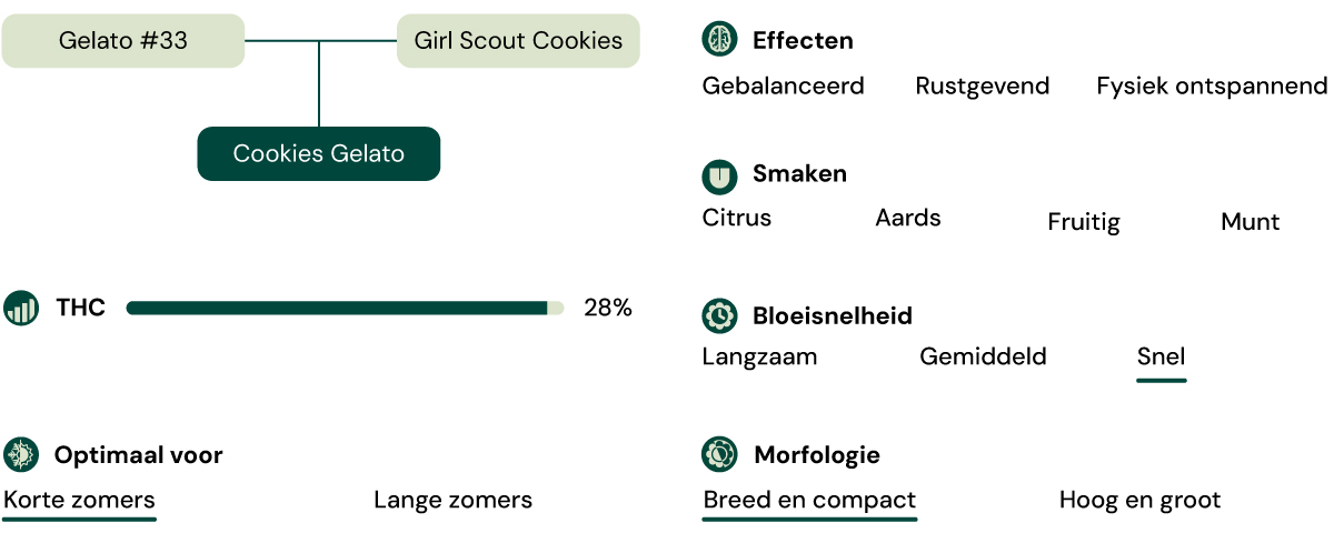 Cookies Gelato Key Attributes