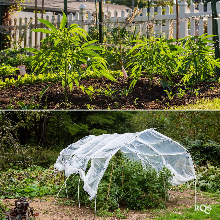 Twee afbeeldingen: Links toont jonge planten in een tuin, en rechts een tuin met beschutting door netten.