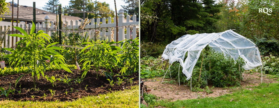 Twee afbeeldingen: Links toont jonge planten in een tuin, en rechts een tuin met beschutting door netten.