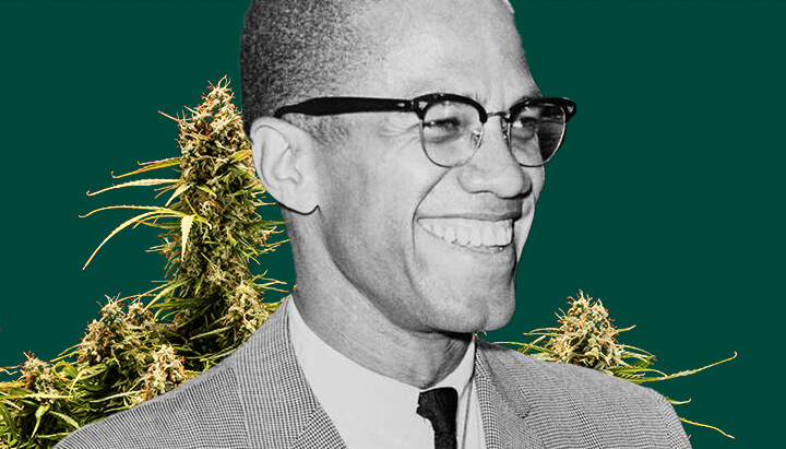 Een gedetailleerd portret van Malcolm X tegen een diepgroene achtergrond, omringd door weelderige cannabisplanten met dikke, harsachtige toppen.