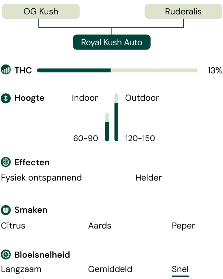 Royal Kush Auto Characteristics