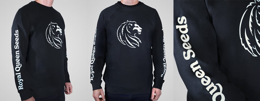 Een zwarte sweatshirt met een wit leeuwenkoplogo op de voorkant en de woorden 