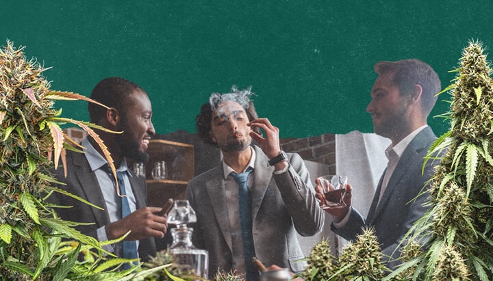 Drie mannen in pakken ontspannen binnenshuis, met één die een joint rookt. Ze zijn omgeven door beelden van cannabisplanten.