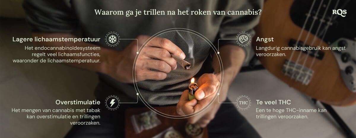 Een gedetailleerde grafiek die de mogelijke bijwerkingen van cannabisgebruik laat zien. Informatieve visuals leggen uit hoe factoren zoals THC-niveaus, angst en lichaamstemperatuur bijdragen aan deze fysieke reacties.