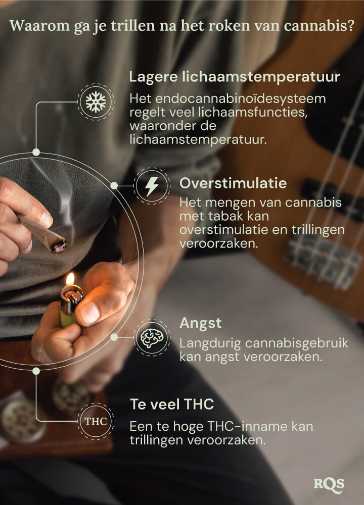 Een gedetailleerde grafiek die de mogelijke bijwerkingen van cannabisgebruik laat zien. Informatieve visuals leggen uit hoe factoren zoals THC-niveaus, angst en lichaamstemperatuur bijdragen aan deze fysieke reacties.